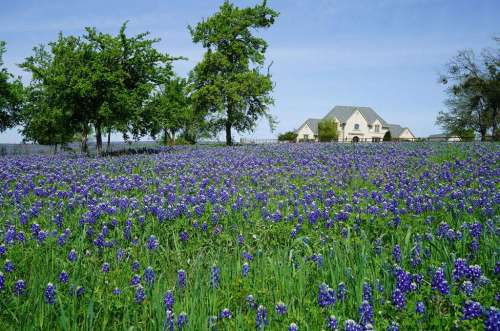 Ranches and Homes With Acreage