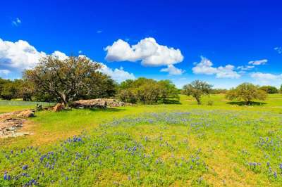 Rural Land